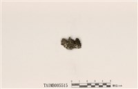 藏品(輻射膠囊衣)的圖片